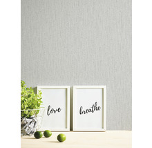 Scène décorative avec deux images encadrées, plante en pot et citrons verts devant un mur