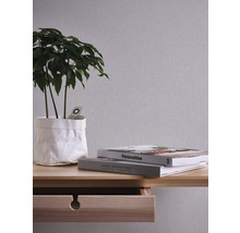Dekorative Zimmerpflanze in Papierhülle auf einem Tisch mit Schublade und Büchern