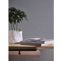Dekoratives Arrangement mit Pflanze, Büchern und Holzschreibtisch