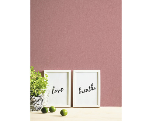 Décoration murale avec des images et une plante