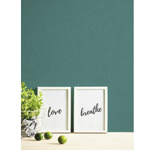 Dekoratives Stillleben mit Pflanzen, Limetten und gerahmten Kunstdrucken mit den Aufschriften Liebe und Atmen vor einer Wand