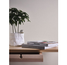Dekorative Zimmerpflanze in Papierhülle auf einem Holztisch mit Schublade und zwei Büchern.