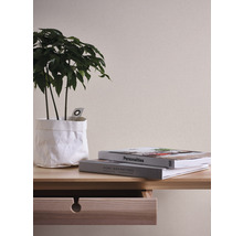 Dekorative Zimmerpflanze in Papierhülle auf einem Tisch mit Schublade und Büchern