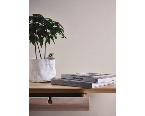 Dekorative Zimmerpflanze in Papierhülle auf einem Tisch mit Schublade und Büchern