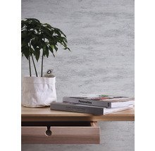 Dekorative Wand mit Pflanze, Büchern und Tisch mit Schublade