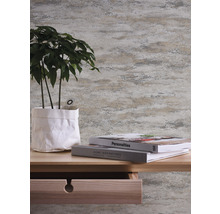 Dekorative Wandgestaltung mit Pflanze im Topf und Büchern auf einem Holztisch