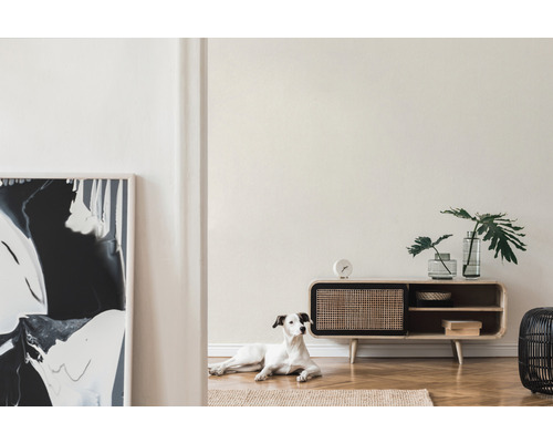 Wohnzimmer mit Lowboard, Dekoration und Hund