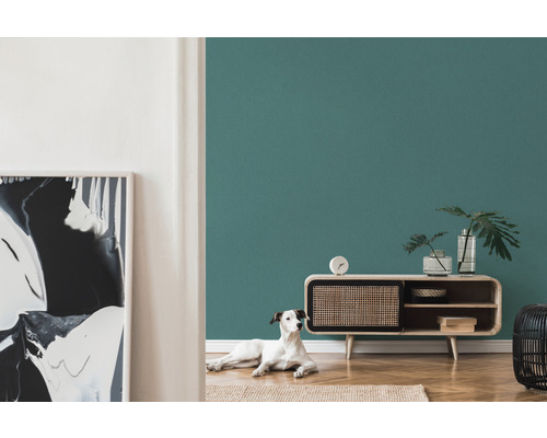 Salon avec mur pétrole, commode et chien