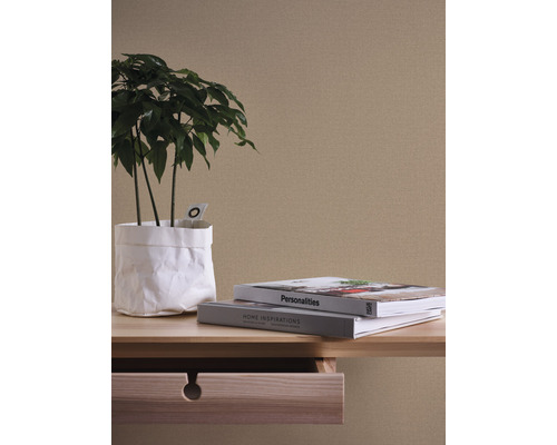 Nahaufnahme einer Wand mit einer Pflanze, Büchern und einem Tisch mit Schublade.