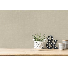 Papier peint intissé beige dans un espace de vie avec plante et décoration