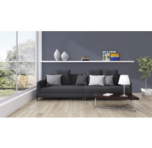 Wohnzimmer mit Sofa, Tisch, Regalen und Dekorationen für ein gemütliches Ambiente.