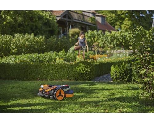 Szene mit einem Rasenmähroboter im Garten