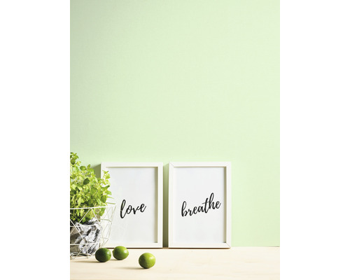 Dekorative Szene mit Pflanzen, zwei Rahmen mit den Wörtern Liebe und Atmen und Limetten