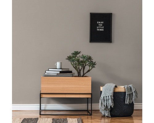 Dekoratives Interieur mit Pflanzen, Bücherstapel, Holzschrank und Korb