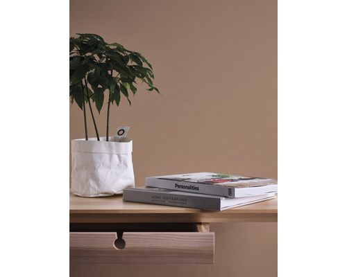 Table avec plante d''intérieur dans un sac en papier et deux livres