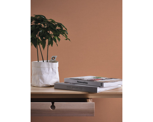 Dekorative Szene mit Zimmerpflanze in weißem Papierbeutel, zwei Büchern und einem Holztisch mit offener Schublade