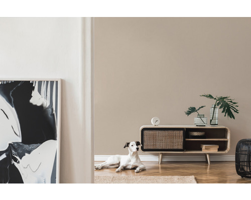 Salon avec commode en bois, vases en verre, plante d''intérieur et un chien sur le tapis.