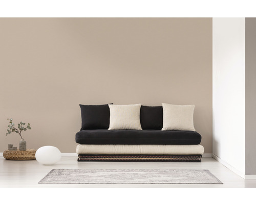 Futon avec coussins sur un tapis dans un salon