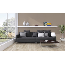 Salon avec canapé, table basse, étagère et plante d''intérieur