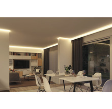Wohnzimmer mit Deckenbeleuchtung, Esstisch und Regalsystem