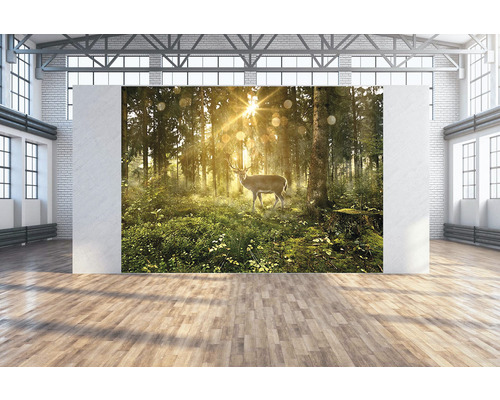 Toile murale Chevreuils dans la forêt 350x250 cm