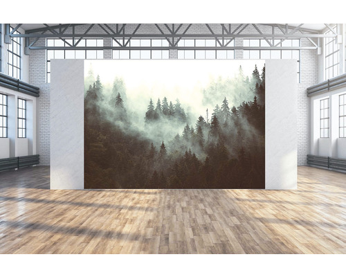 Toile murale Forêt de pins sombre 350x250 cm
