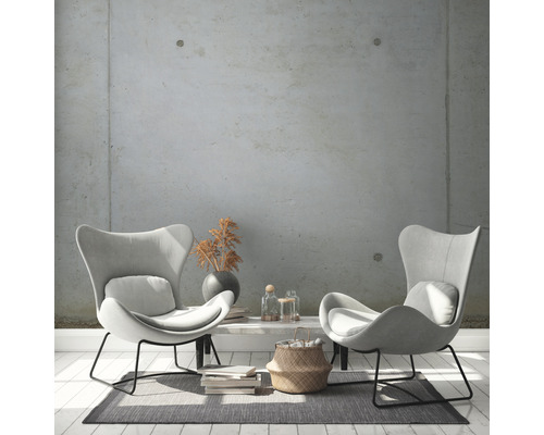 Salon avec deux fauteuils à oreilles, table et décoration sur un tapis