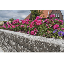 Gartenmauer aus Betonsteinen mit Blumen bepflanzt