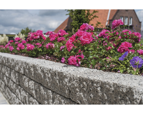Gestapelte Betonmauer mit blühenden Rosen