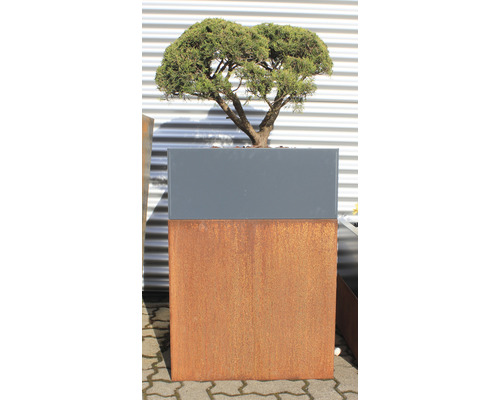 Pflanzgefäß mit Baum