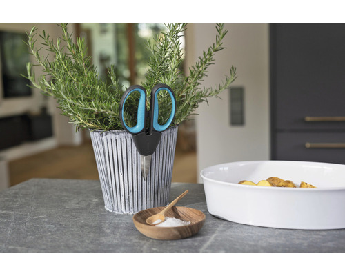 Pot d''herbes aromatiques avec ciseaux, plat de pommes de terre et plat de sel sur un plan de travail