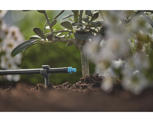 Tropfbewässerungssystem an einer Pflanze im Garten