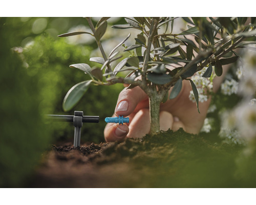 Nahaufnahme der Installation eines Bewässerungssystems an einer Pflanze im Garten