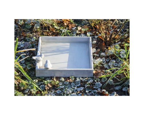 Abreuvoir rectangulaire en pierre avec deux statues d''oiseaux dans le jardin.