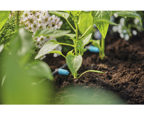 Bewässerungssystem im Garten mit Pflanzen