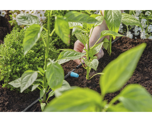 Installation einer Bewässerungsanlage für Pflanzen im Gartenbeet
