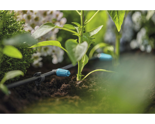 Tropfbewässerungssystem im Garten mit Pflanzen und Blumen