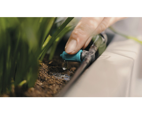 Tropfbewässerung im Einsatz zum Bewässern von Pflanzen