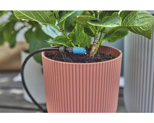 Nahaufnahme einer Topfpflanze mit Bewässerungssystem für Zimmerpflanzen