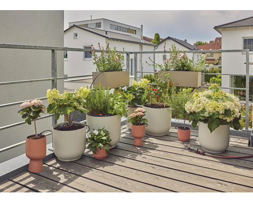 Balkonszene mit verschiedenen Pflanzen und Pflanzgefäßen auf einem Holzboden
