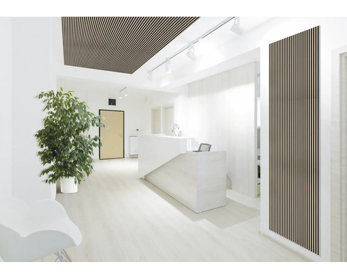 Heller Empfangsbereich mit Holzpaneelen an Decke und Wand, Rezeptionstisch und Büropflanze