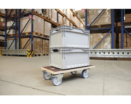 Zwei Kunststoffboxen auf einem Rollbrett mit vier Rollen im Lager.