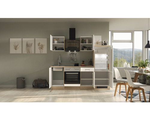 Komplette Küchenzeile mit Spüle, Herd, Backofen, Dunstabzugshaube und Kühlschrank für eine funktionale Küchenausstattung.