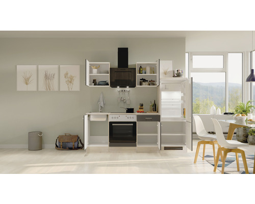 Cuisine équipée complète avec évier, cuisinière, four, hotte aspirante et réfrigérateur dans une cuisine moderne et lumineuse.