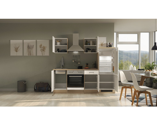 Komplette Küchenzeile mit Spüle, Herd, Backofen, Dunstabzugshaube, Hängeschränken und Kühlschrank in einem hellen, modern eingerichteten Raum.