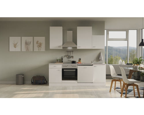 Flex Well Küchenzeile mit Geräten Wito 220 cm Frontfarbe weiß Matt  Korpusfarbe weiß - HORNBACH Luxemburg