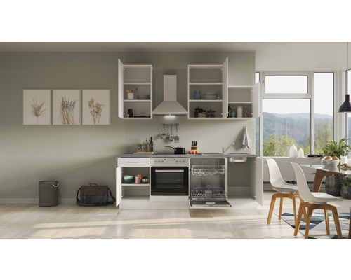 Komplette Küchenzeile mit Einbauspüle, Geschirrspüler, Backofen und Hängeschränken in einer hellen, geräumigen Küche.