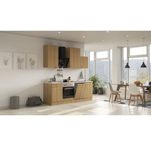 Cuisine complète avec appareils Flex Well Nano 220 cm hêtre mat démontée variante réversible 00008226