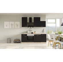Cuisine complète avec appareils Flex Well Santo 220 cm anthracite mat démonté variante réversible 00011040