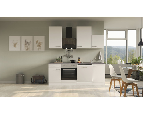 Flex Well Küchenzeile mit Geräten Varo zerlegt matt 220 weiß HORNBACH Frontfarbe cm - Korpusfarbe Luxemburg weiß